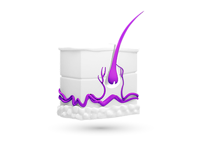 Dermatologija - Nasleđe