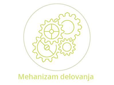 Brufen- mehanizam delovanja